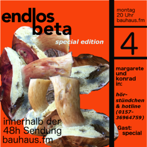 endlos.beta